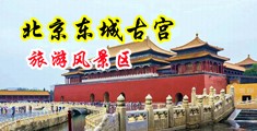 大鸡巴操你黄片视频中国北京-东城古宫旅游风景区